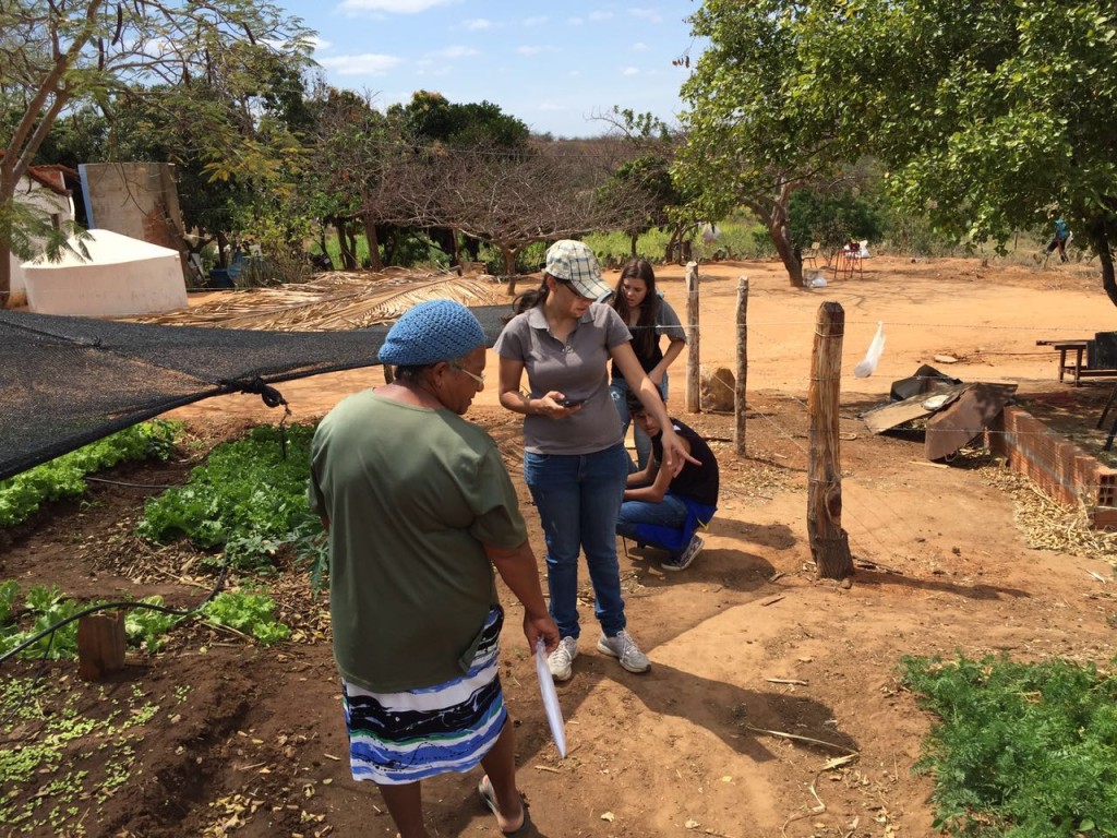 Projeto “Utilização de plantas medicinais no município” / Divulgação