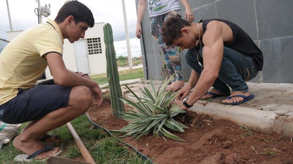 Foto: Divulgação