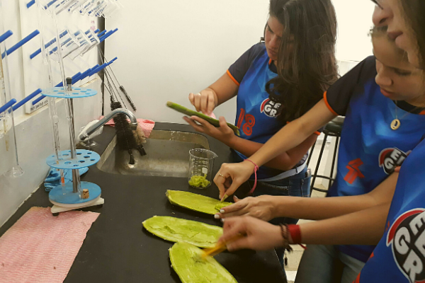 Estudantes desenvolvem shampoo com plantas do quintal